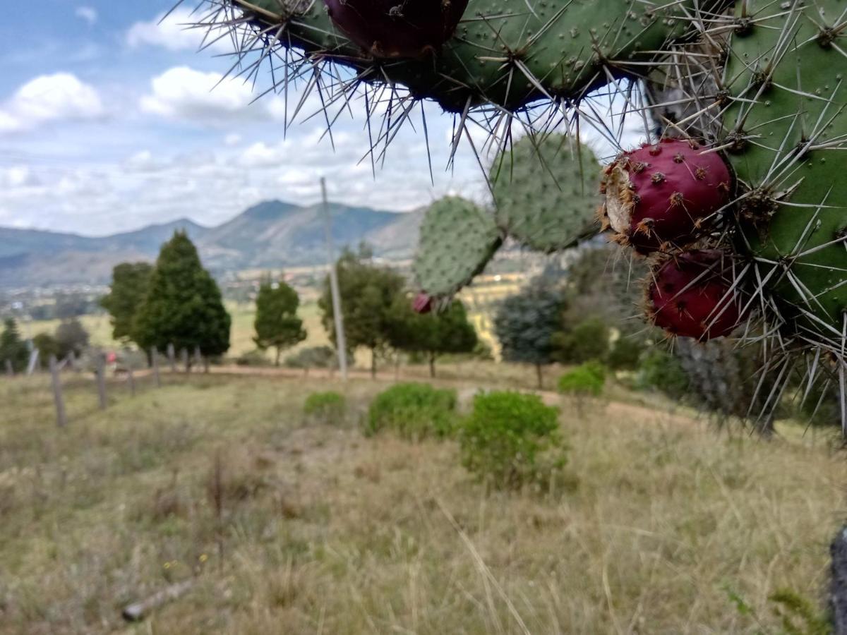 Hotel Campestre Los Duraznos Cucunubá Eksteriør billede